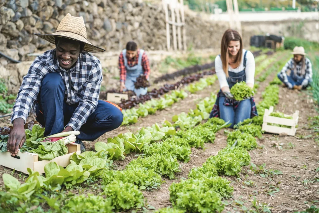 Community Residents in a local garden